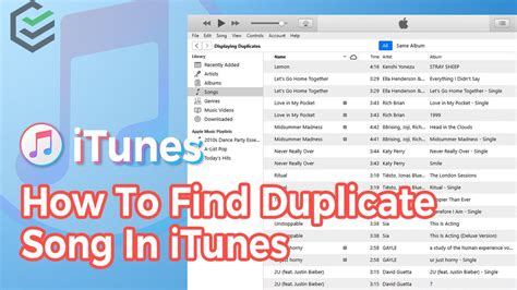 how to remove duplicate songs in apple music on iphone and why does the internet love cats?