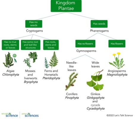 What Are Two Main Features Found in Art from the New Kingdom? A Detailed Exploration